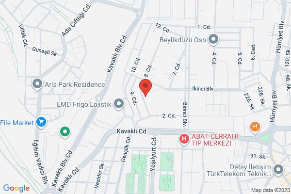 Otis EndÜstri MamÜl. Organizasyon Tic. A.s.
