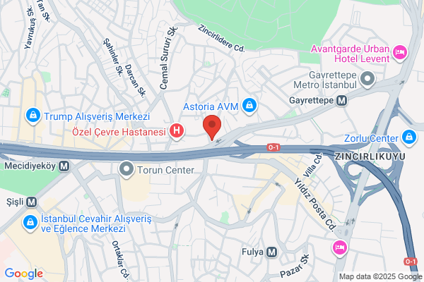 Dogruyol Partisi