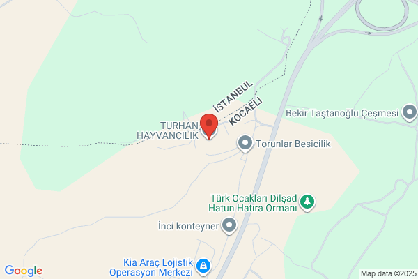 Turhan Ciftligi Tarim Isletmeleri A.s.