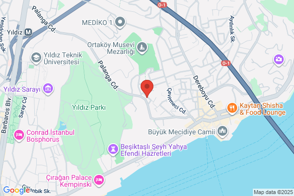 Boem-besiktas Özel Egitim Ve Rehabilitasyon Merk.