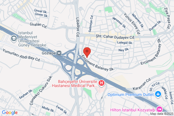 Istanbul Güzel Sanatlar Lisesi