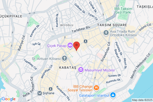 Turkiye Sinema Eseri Sahip. Meslek Birl.