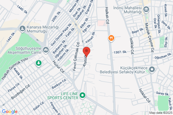 Seden Limozin Service