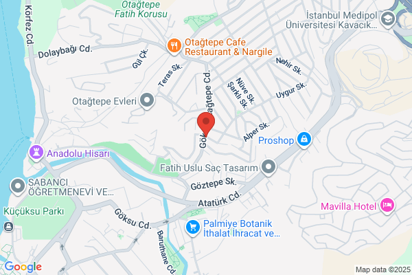 Cafe Guitar