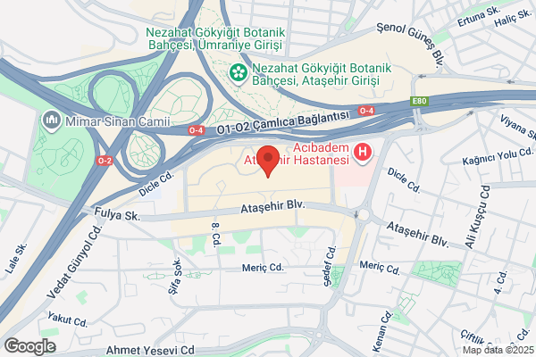 Ozel Istanbul Metropol Tip Merkezi