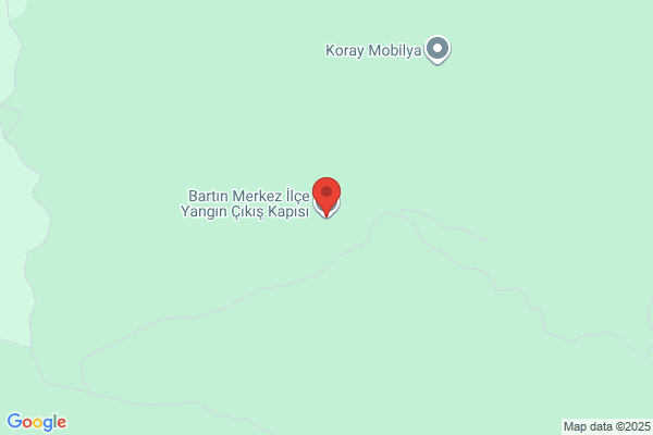 Bartin Özemniyet