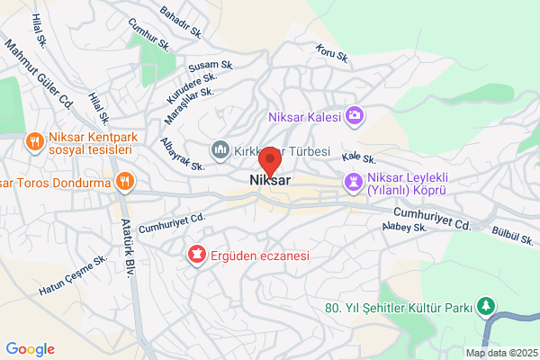Niksar Özay