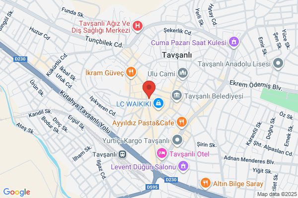 Tavsanli Tur