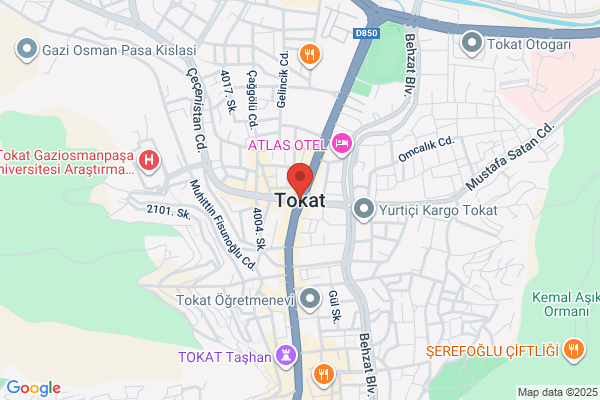 Tokat TopÇam
