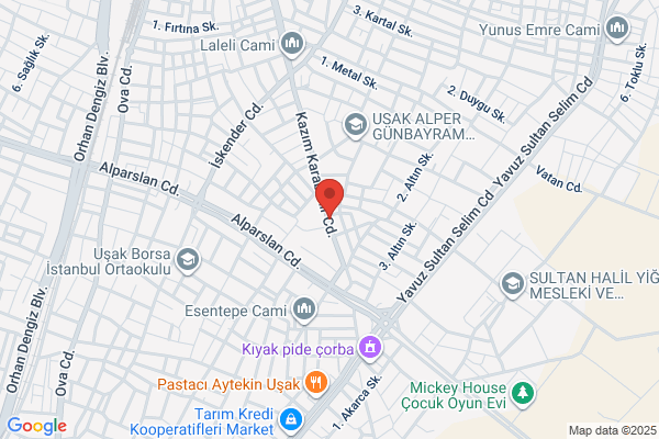 Usak Egemen