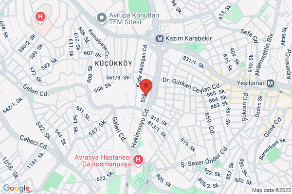Termo Çelik Kazan Mak. San.