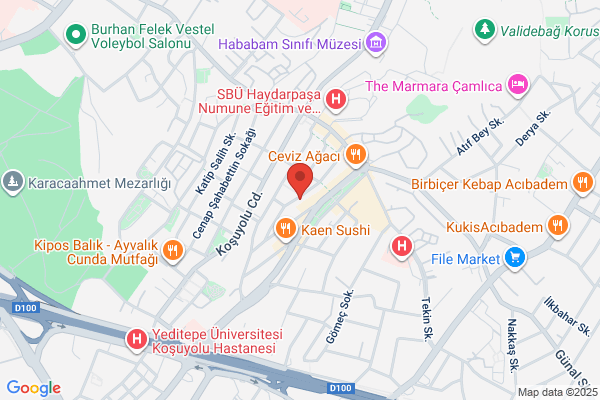 Avrupa Asya Burligi Turk Ekonomik Sosyal Kulturel Arast. Vakfi