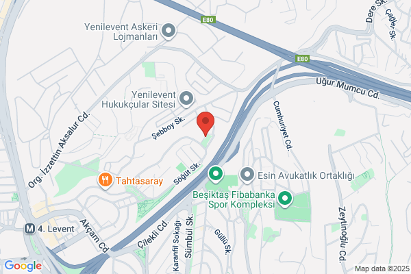 Turk Eskrimini Gelistirme Vakfi-tegev