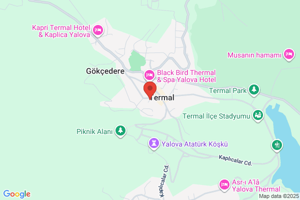 Termal Lab. Alet San. Koll. Sti.