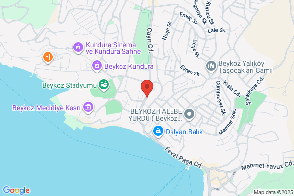 Balsan Turizm Seyehat Ltf