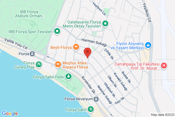 Black Sea Turizm