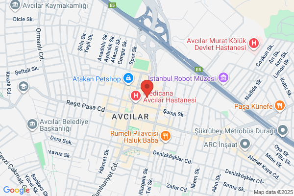 Cengizler -vietra Uluslar Arasi Tasimacilik Dis.tic.ltd.sti.