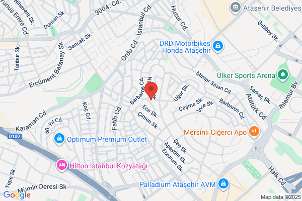 Hayrioglu International Movers