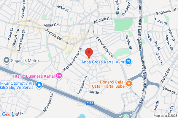 Ramsnet Bilgi Sistemleri