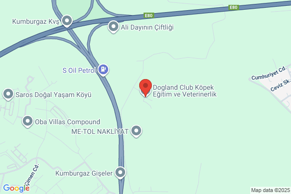 Dogland Hayvan Bakim Merk.