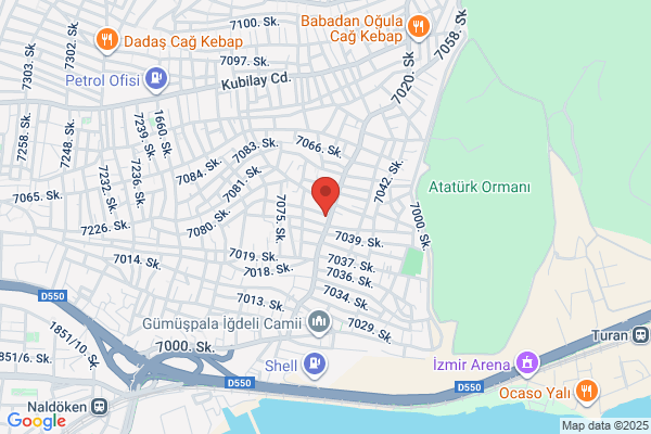 Aslan Elektronik