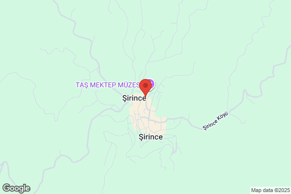 Artemis Sirince Sarapcilik Ltd. Sti.