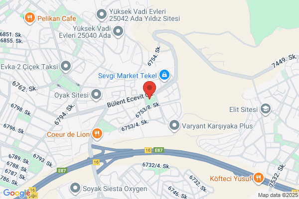 Çinar Mahallesi Muhtar: Mustafa Kaplan