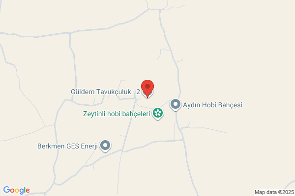 Guldem TavukÇuluk A.s.