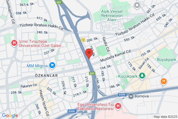 Firat Turizm (alsancak/izmir Sb.)