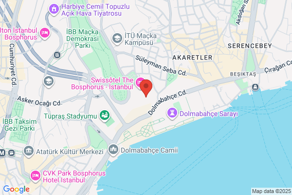 MADHU'S ISTANBUL