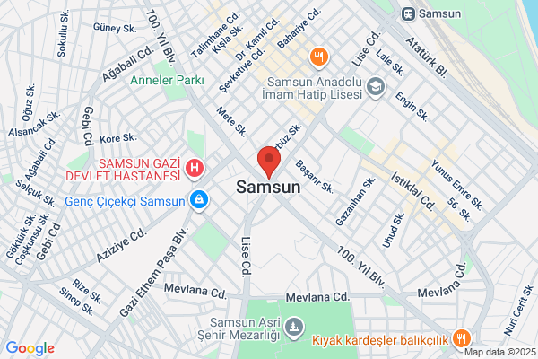 İdis İşitme Cihazları - Samsun