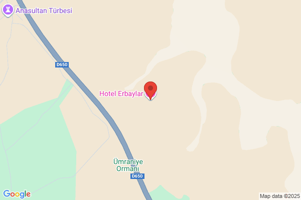 Hotel Erbaylar