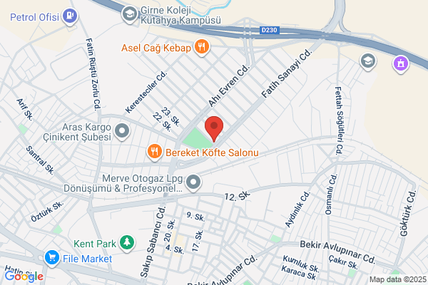 Motor Sanayi Ticaret