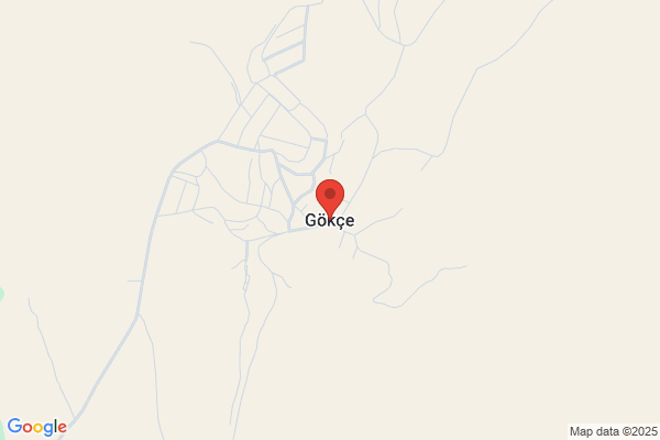 Gokce Tavukculuk Ltd. Sti.