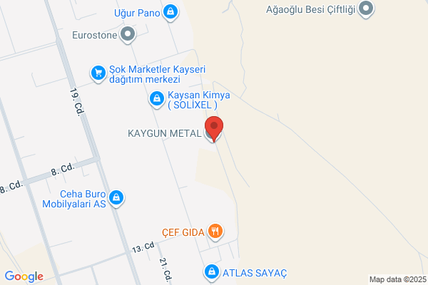 Aygun Celik