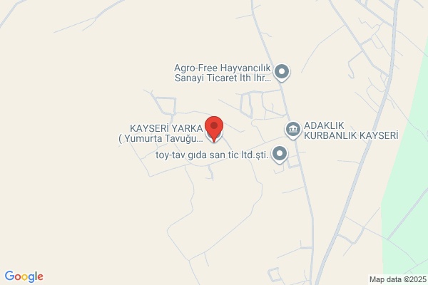 KÖytÜr Kayseri AnaÇ Tavuk A.s.