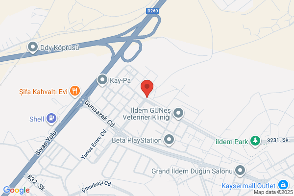 Yahsi Dogan