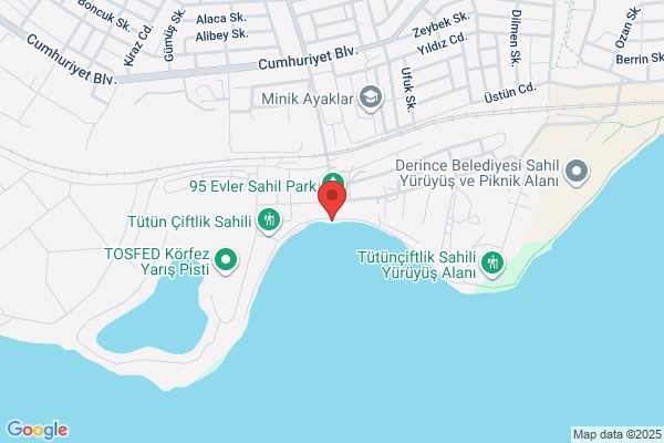 Korfez Vapur Acentasi