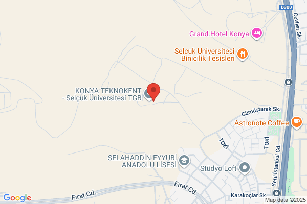 Entegre Bilgi-islem