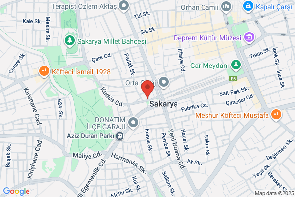 Asya Bilisim