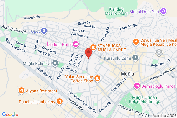 Çagatur Turizm