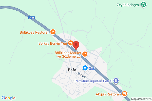 Bafa Yag Sanayi Ltd.