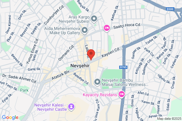 Net Rent A Car
