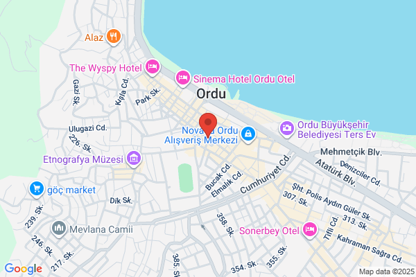 Ordu Sanatevi Dernegi
