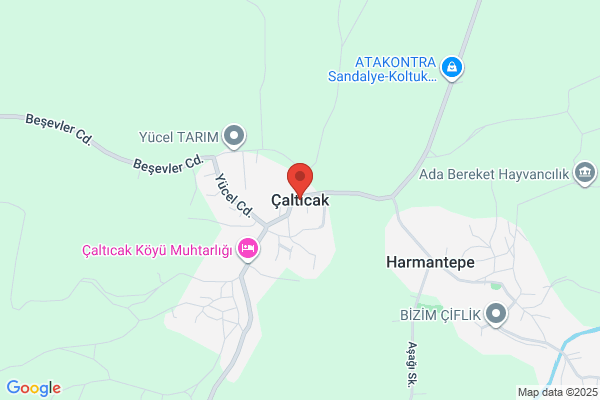 Ay Tavukculuk