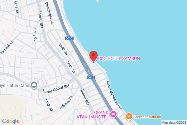 Büyük Samsun Hotel