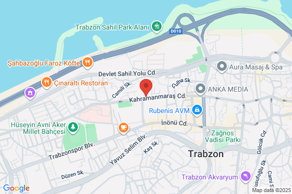 Trabzon Milli Egitim MÜdÜrlÜgÜ