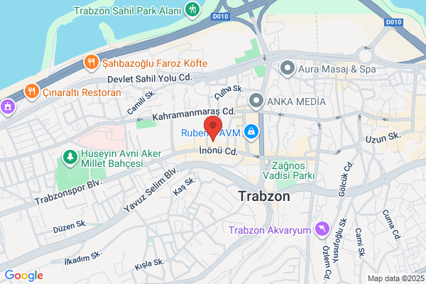 Trabzon Tibbi Ilac Mumessilleri Dernegi