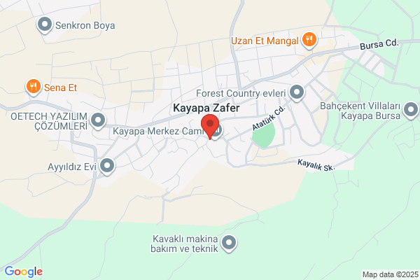 Kayapa Belediye Baskani