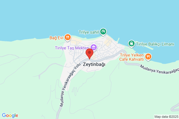 Zeytinbagi Belediye Baskani